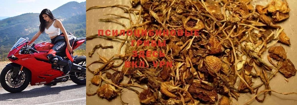 винт Михайловка