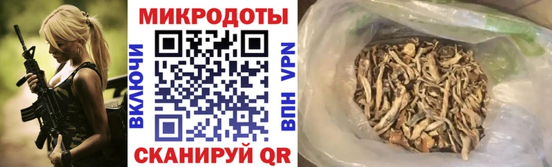 Псилоцибиновые грибы мицелий Кашира