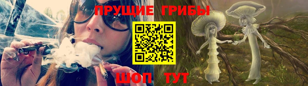Псилоцибиновые грибы Psilocybine cubensis  Кашира  Псилоцибиновые грибы прущие грибы 